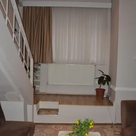 Sultanahmet Isil Hotell *